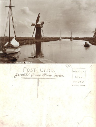 Vintage postcard the ant - the,