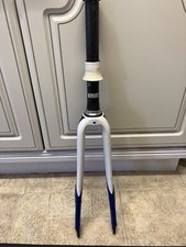 Specialized Roubaix Carbon