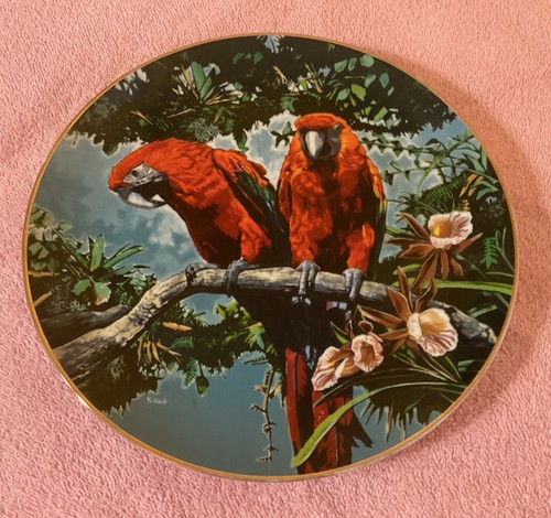 Scarlet macaws collectitors - macaws,