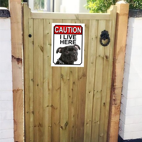 Caution live here american - i,