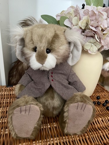 Charlie bears snicket - charlie,