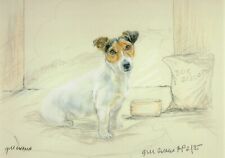 Jack Russell Terrier Print