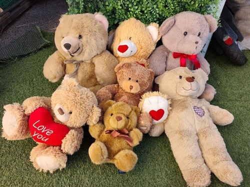 Big bundle teddies - big, 7