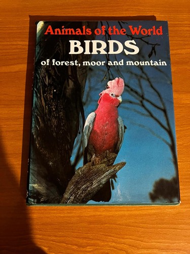 Birds forest moor and - forest,,