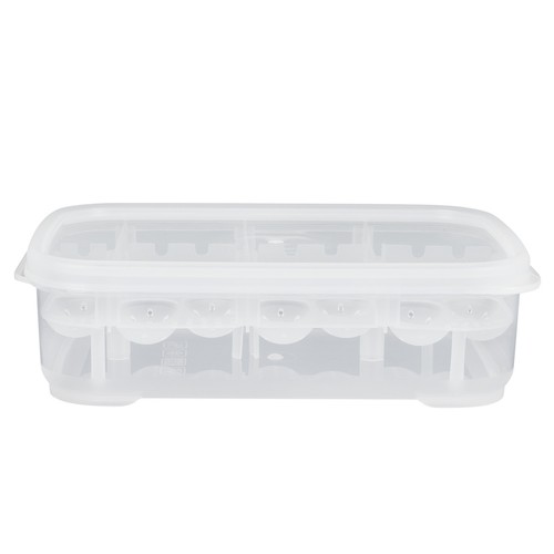 Terrarium breeding box lizard - breeding,