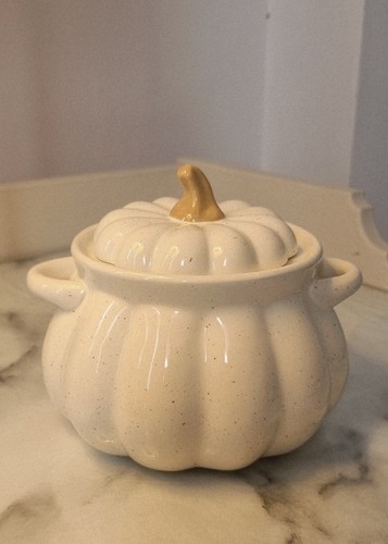 Pumpkin soup bowl casserole - pumpkin,