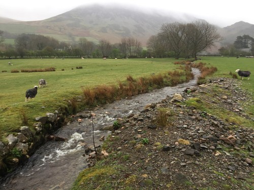 Photo 6x4 pasture gill beck - photo,