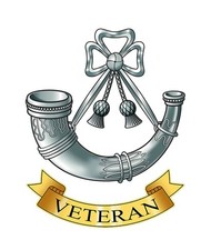 Light Infantry Veteran