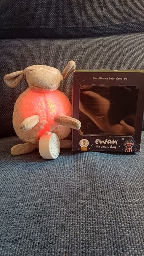 Ewan the dream sheep - the, deluxe