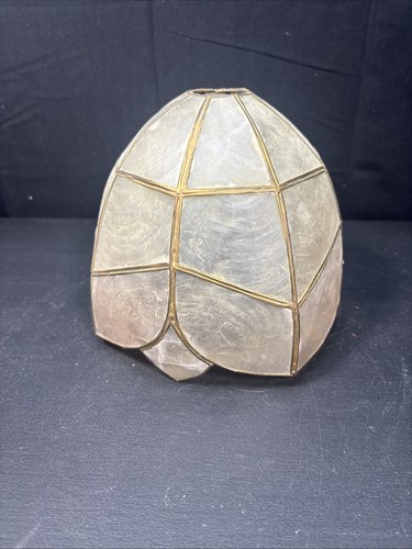 Shell capiz light shade - light, shade-