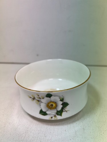Crown staffordshire dogwood - crown,
