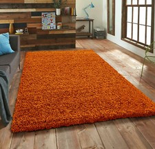 Modern Thick Shaggy Large Rugs