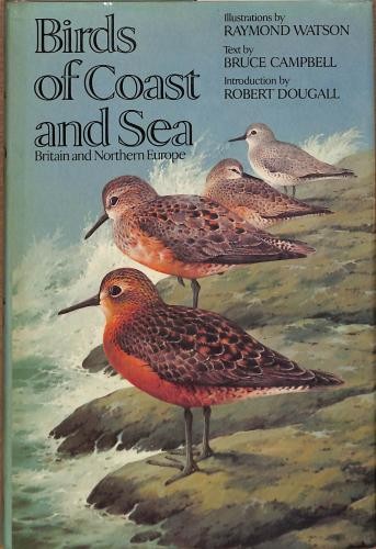 Birds coast and sea bruce - coast,