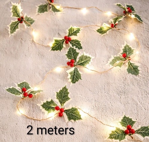 Garland christmas lights - garland,