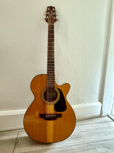 Takamine series - g,