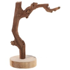  Parrot Perch Stand Parrot