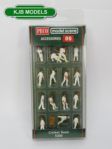 Bnib gauge peco model - oo,