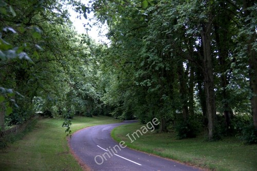 Photo 6x4 road kinpurnie - photo,