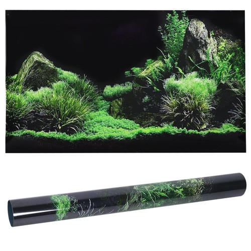 30cm fish tank - x, background