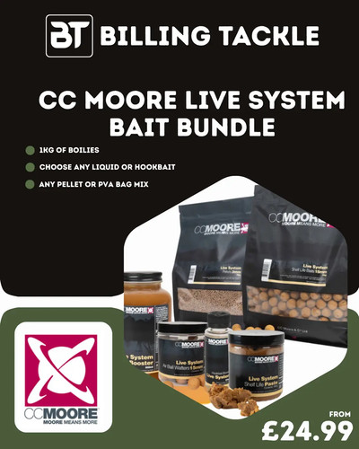 Live system moore - cc,