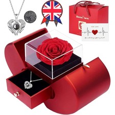 Preserved Real Rose Forever