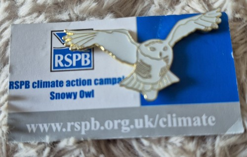 Rspb bird pin badge snowy - bird,