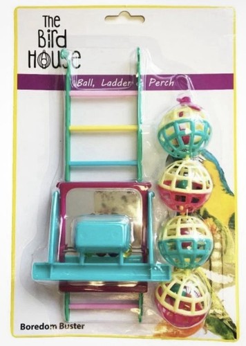 Happy pet fun the - fun, at