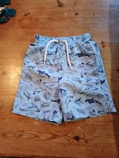 Boy's Swimshorts Age 2-3 Years