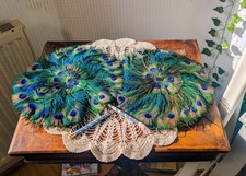 Pair of Art deco 1920s Peacock Feather Fans.