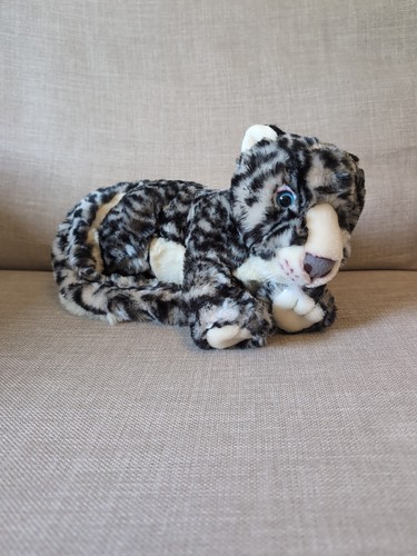 Baby snow leopard with - baby,