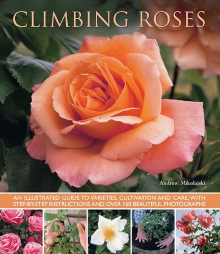Climbing roses illustrated - climbing, roses:
