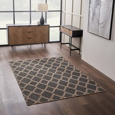 Large Indoor Outdoor Area Rug