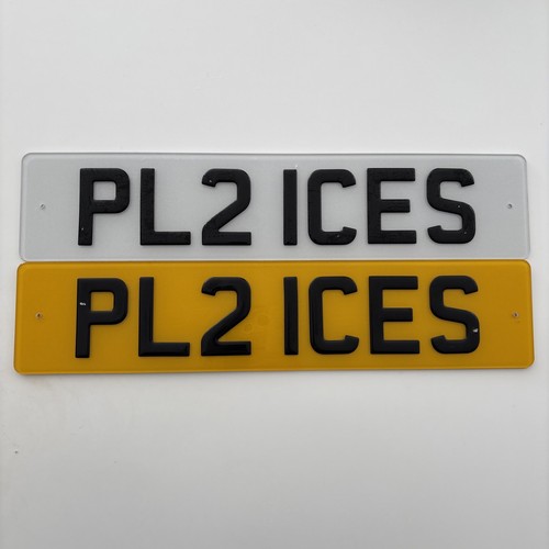 Registration number pl21 - registration,