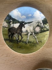 THE NOBLE HORSE Spode Pottery