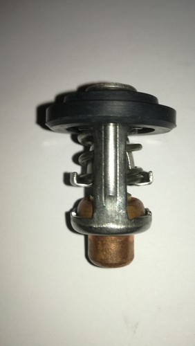 Johnson evinrude outboard - johnson,
