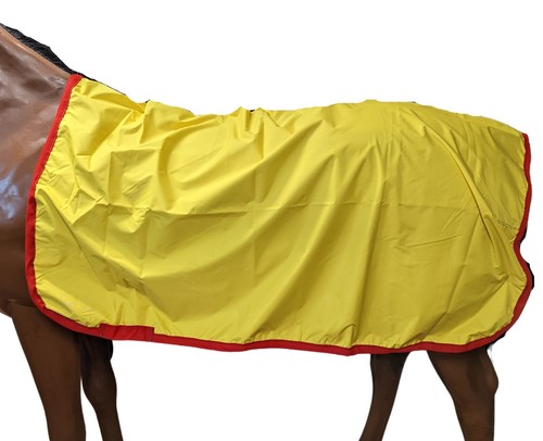 Waterproof exercise sheet - sheet,