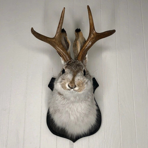Jackalope statue wall mount - jackalope,
