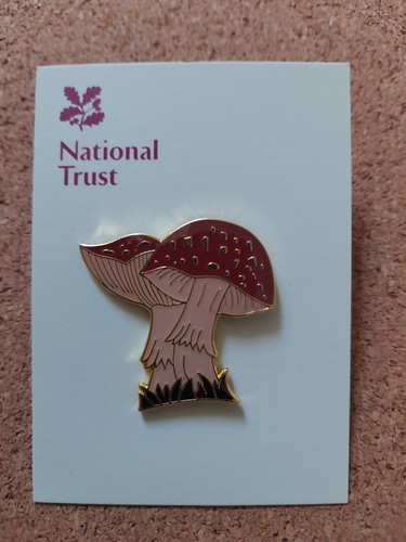 National trust emmetts - national,