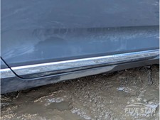 VW Passat Rear Door Molding