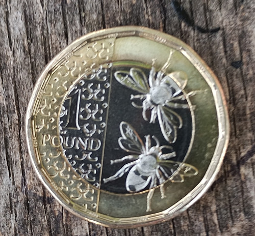 2025 one pound coin - 2025,