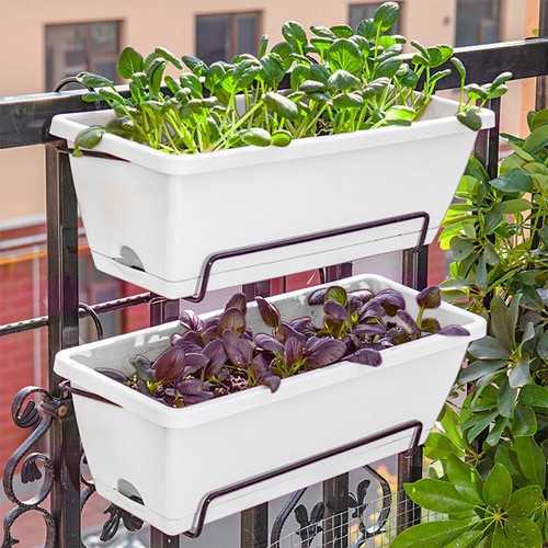 Rectangle trough plant - 5,