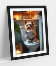 YORKSHIRE TERRIER ON TOILET