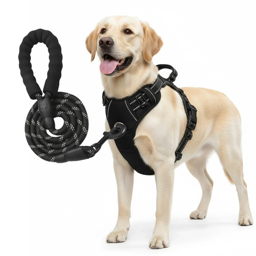 Pull dog pet harness - no,