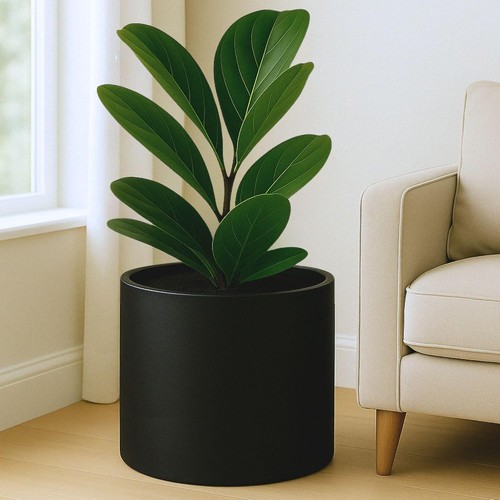 Large indoor outdoor planter - indoor,