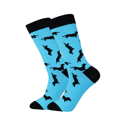 Dachshund sausage dog - dog, mens