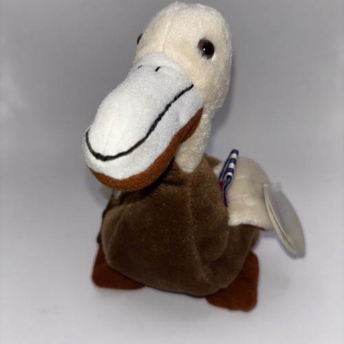 Official cocacola pelican - official,