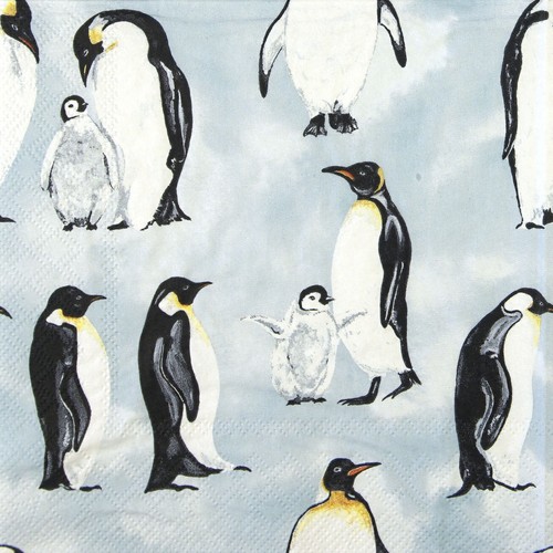 Single paper napkins - ,