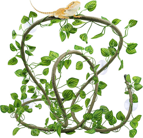 Reptile tank accessories - reptile,