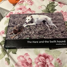 The Hare And The Swift Hound