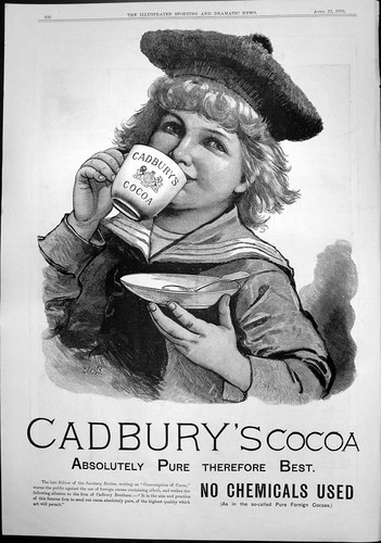 Antique print cadburys cocoa - cadburys,